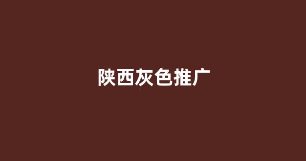 蜘蛛池评测