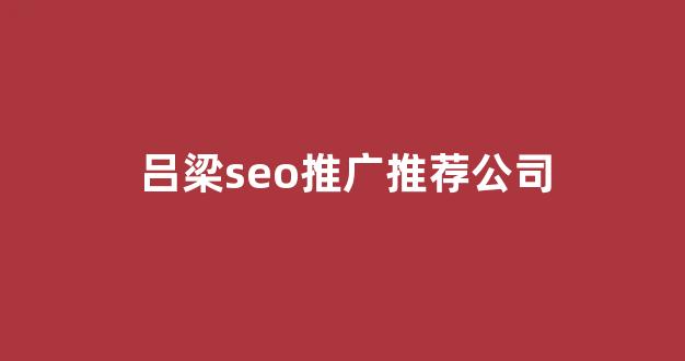 蜘蛛池大脑